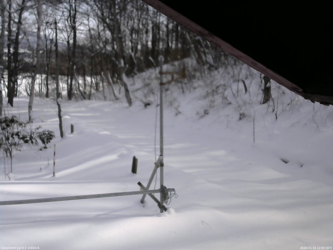 長野県菅平高原 ゆたか山荘 東側(坂下) 2026/01/15 12:00