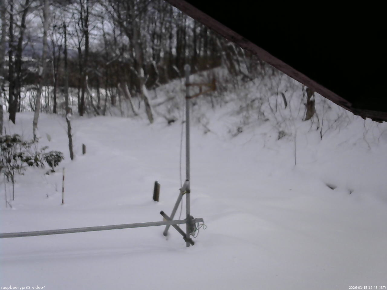 長野県菅平高原 ゆたか山荘 東側(坂下) 2026/01/15 12:45