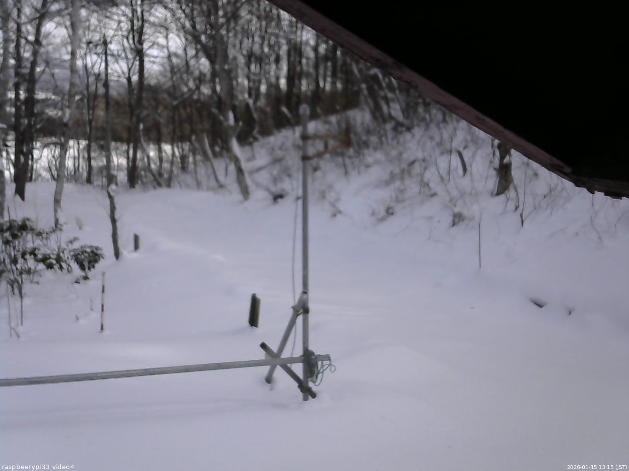 長野県菅平高原 ゆたか山荘 東側(坂下) 2026/01/15 13:15