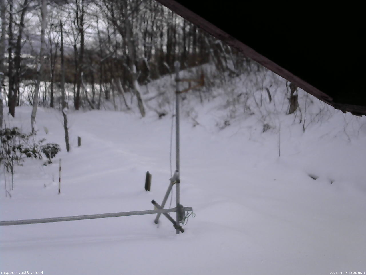 長野県菅平高原 ゆたか山荘 東側(坂下) 2026/01/15 13:30