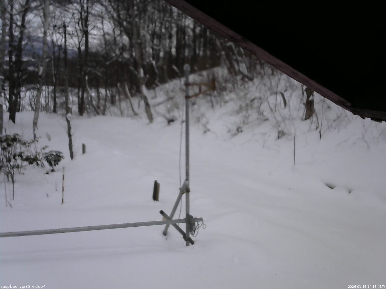 長野県菅平高原 ゆたか山荘 東側(坂下) 2026/01/15 14:15