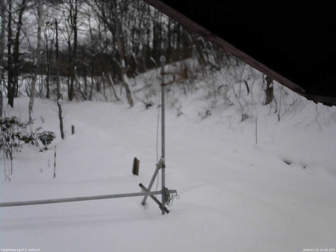 長野県菅平高原 ゆたか山荘 東側(坂下) 2026/01/15 14:45