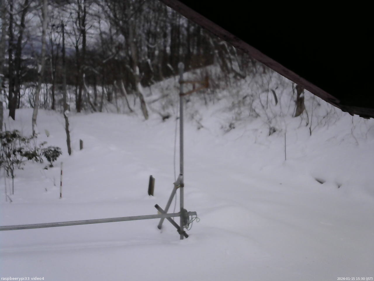 長野県菅平高原 ゆたか山荘 東側(坂下) 2026/01/15 15:30