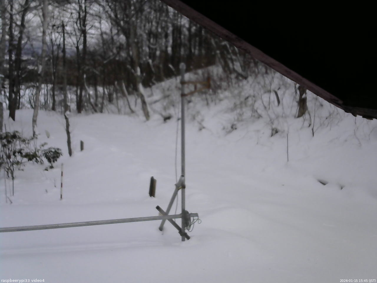長野県菅平高原 ゆたか山荘 東側(坂下) 2026/01/15 15:45