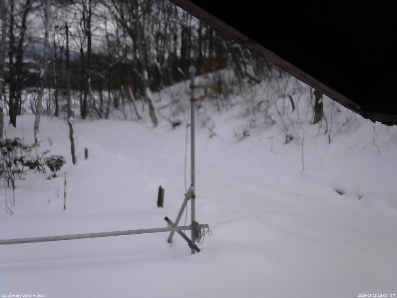 長野県菅平高原 ゆたか山荘 東側(坂下) 2026/01/15 16:00