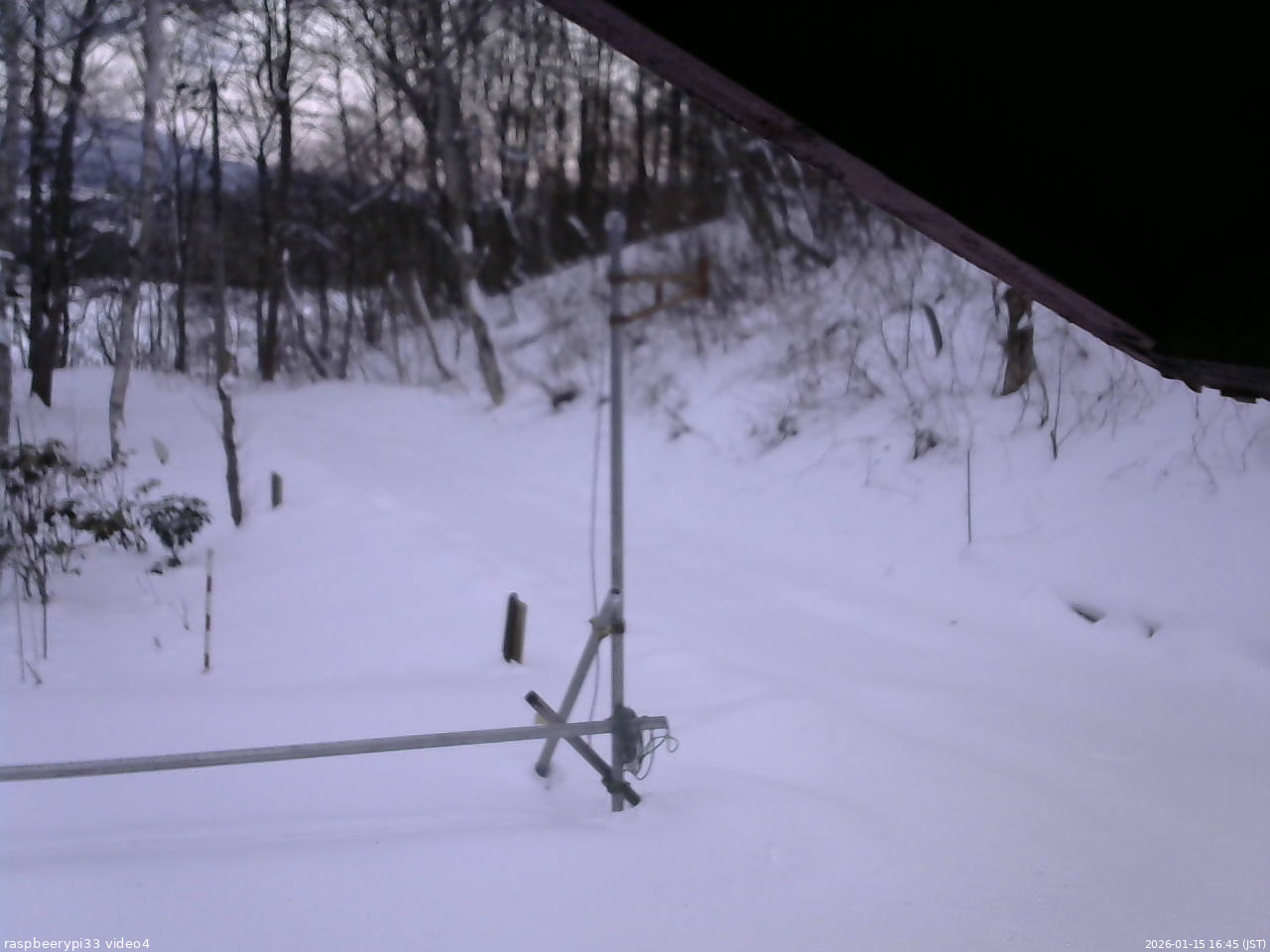 長野県菅平高原 ゆたか山荘 東側(坂下) 2026/01/15 16:45