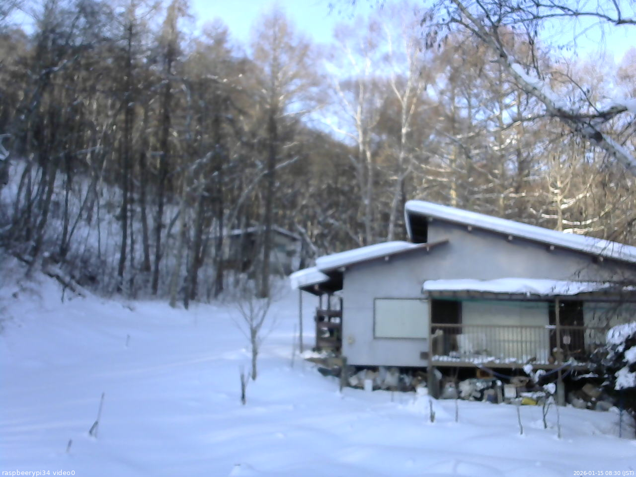 長野県菅平高原 ゆたか山荘 西側(坂上) 2026/01/15 08:30