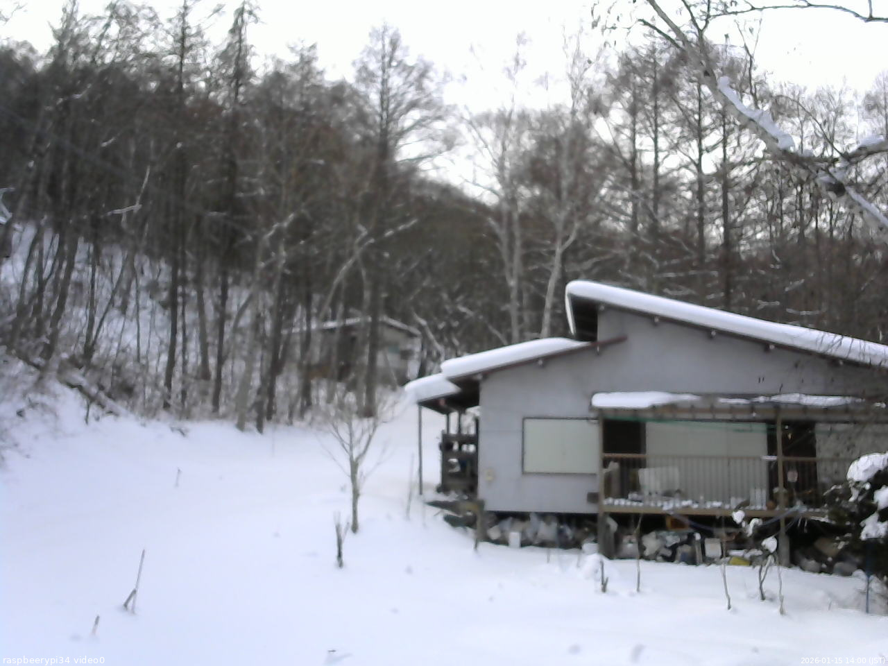 長野県菅平高原 ゆたか山荘 西側(坂上) 2026/01/15 14:00