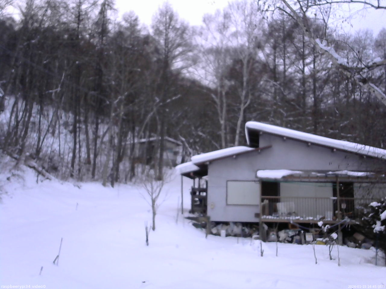 長野県菅平高原 ゆたか山荘 西側(坂上) 2026/01/15 16:45
