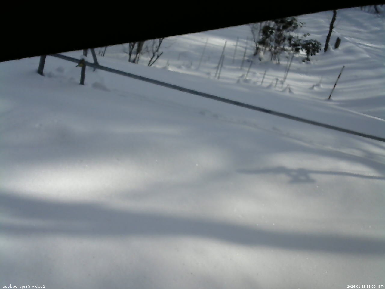 長野県菅平高原 ゆたか山荘 駐車場 2026/01/15 11:00