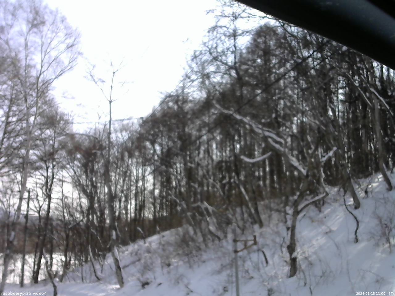 長野県菅平高原 ゆたか山荘 東側上空 2026/01/15 11:00