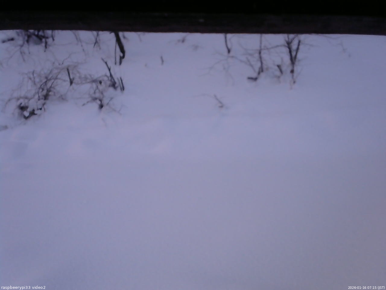 長野県菅平高原 ゆたか山荘 南側 2026/01/16 07:15