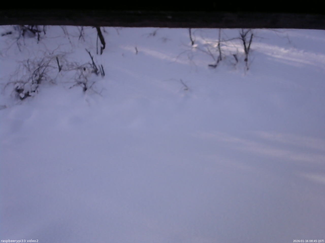 長野県菅平高原 ゆたか山荘 南側 2026/01/16 08:45