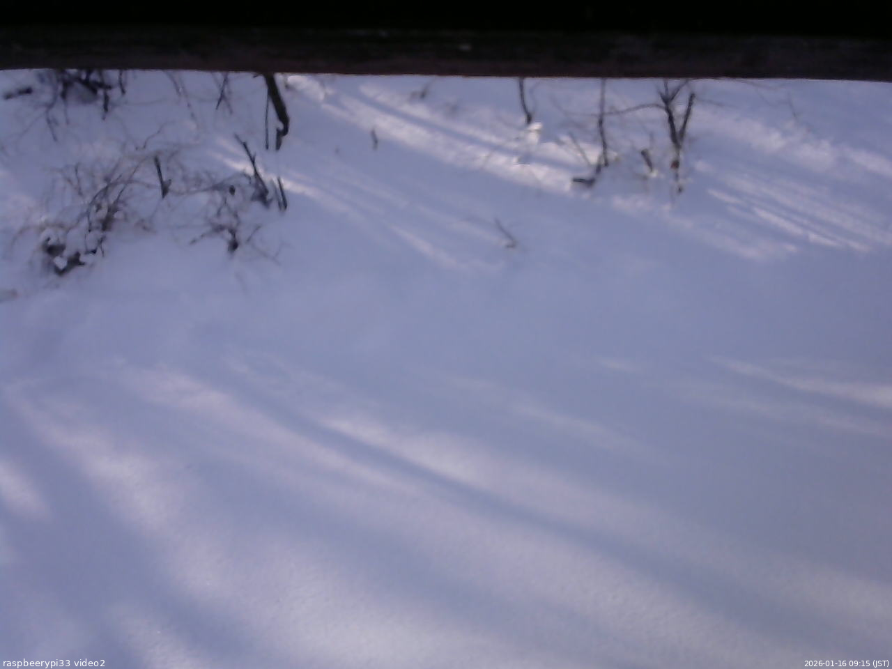 長野県菅平高原 ゆたか山荘 南側 2026/01/16 09:15