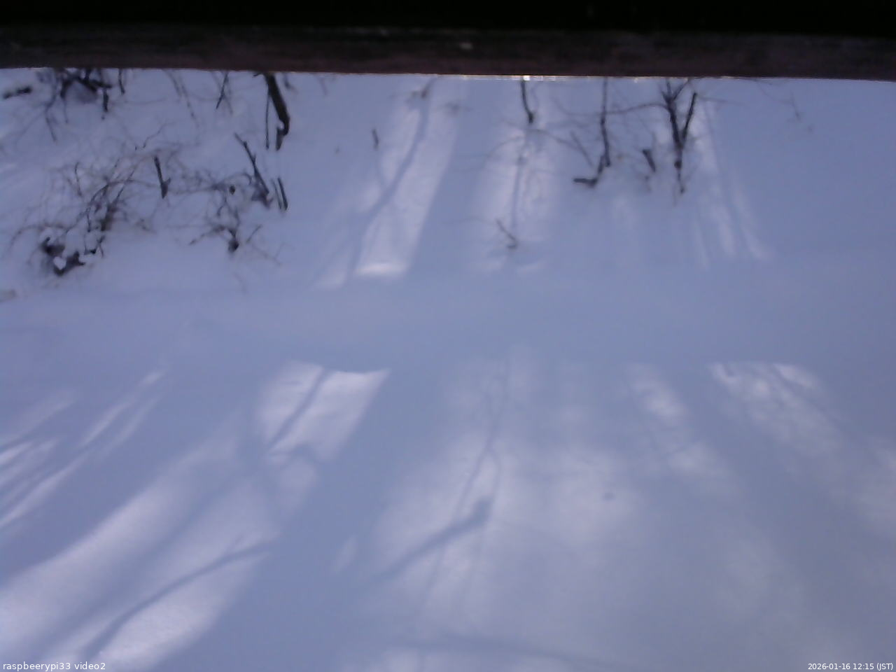 長野県菅平高原 ゆたか山荘 南側 2026/01/16 12:15