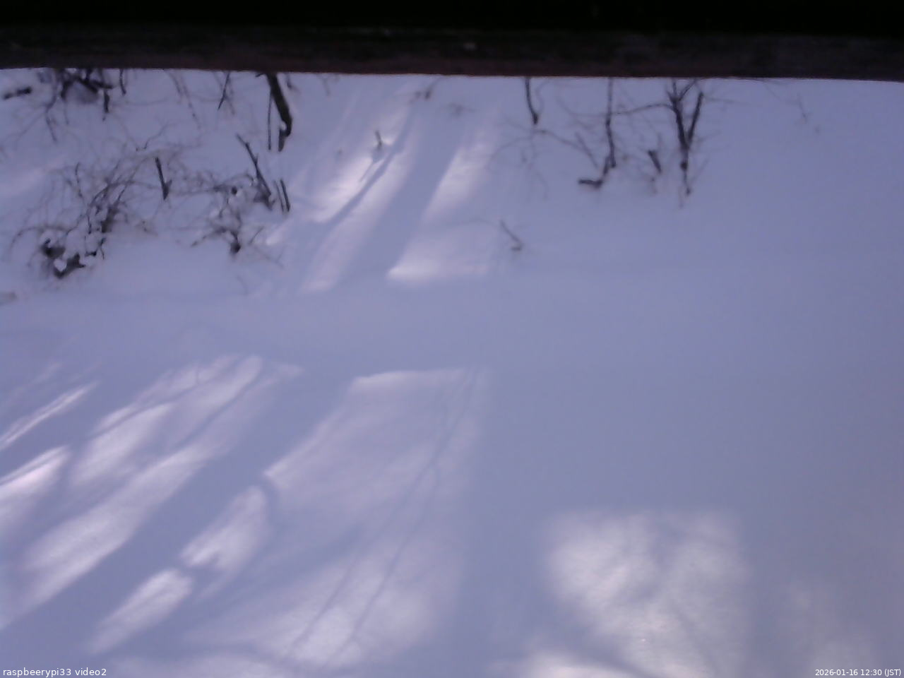 長野県菅平高原 ゆたか山荘 南側 2026/01/16 12:30