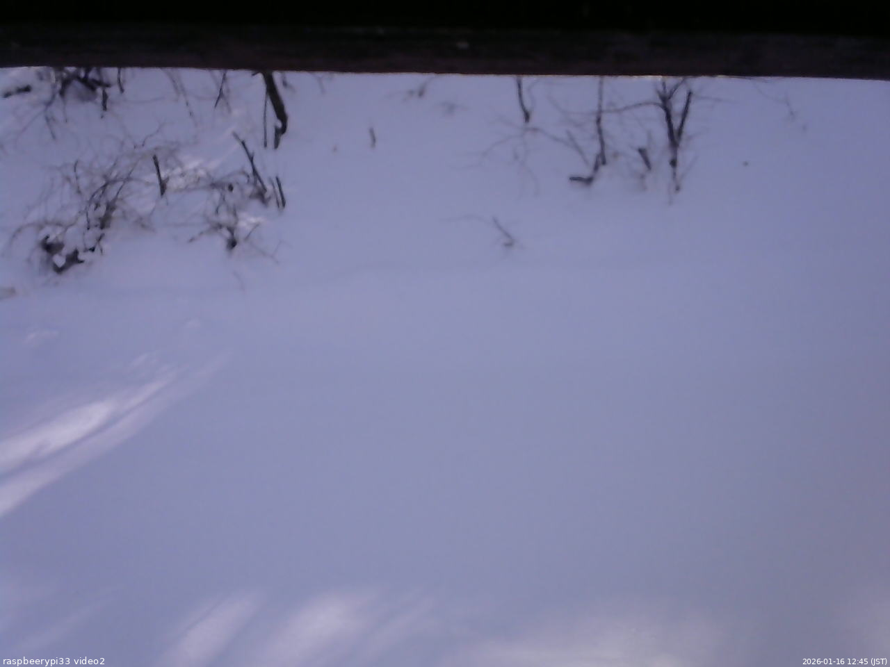 長野県菅平高原 ゆたか山荘 南側 2026/01/16 12:45