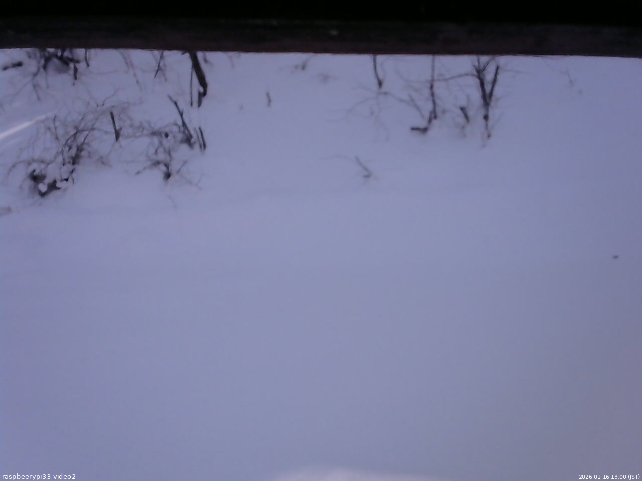 長野県菅平高原 ゆたか山荘 南側 2026/01/16 13:00