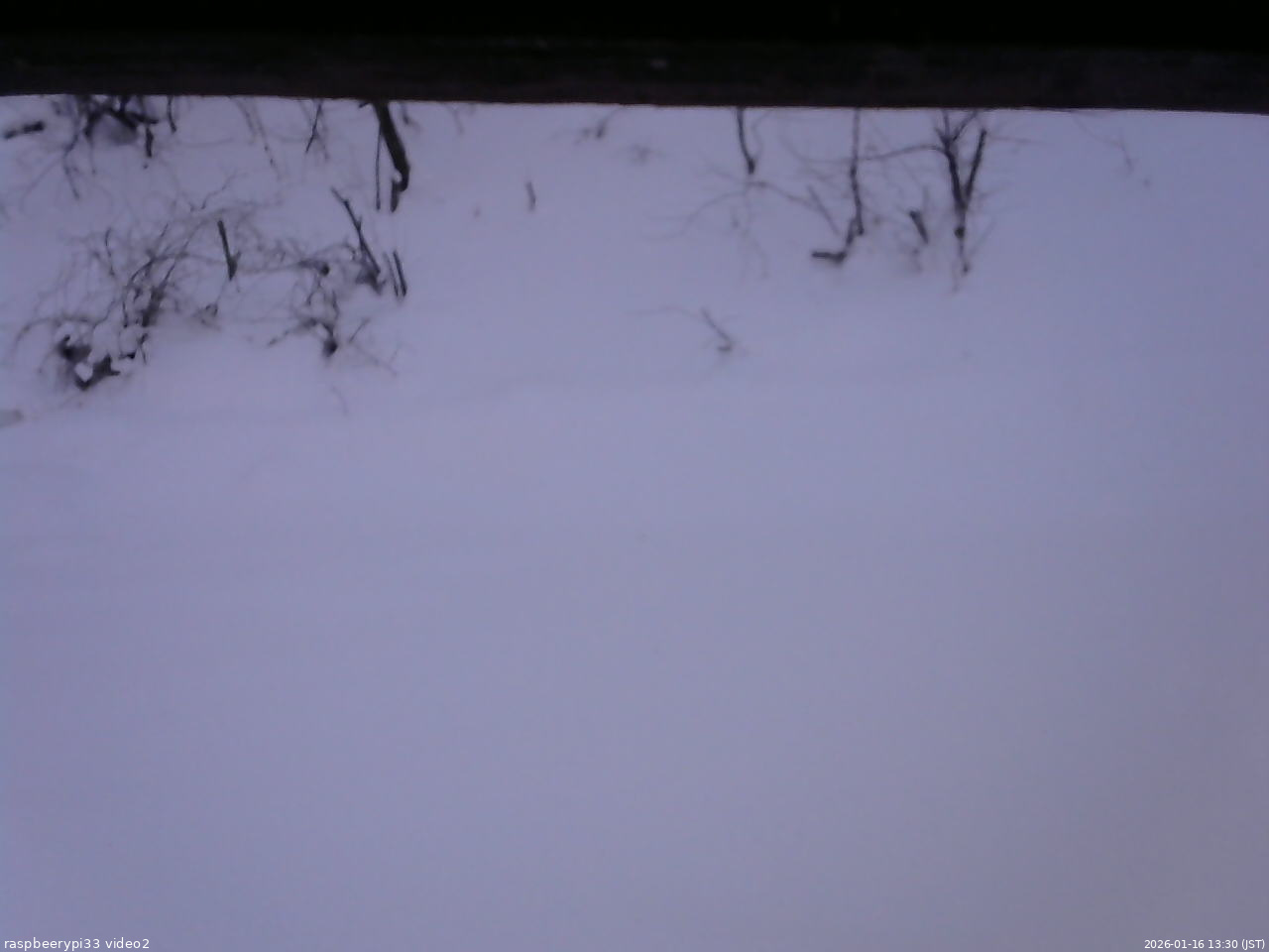 長野県菅平高原 ゆたか山荘 南側 2026/01/16 13:30