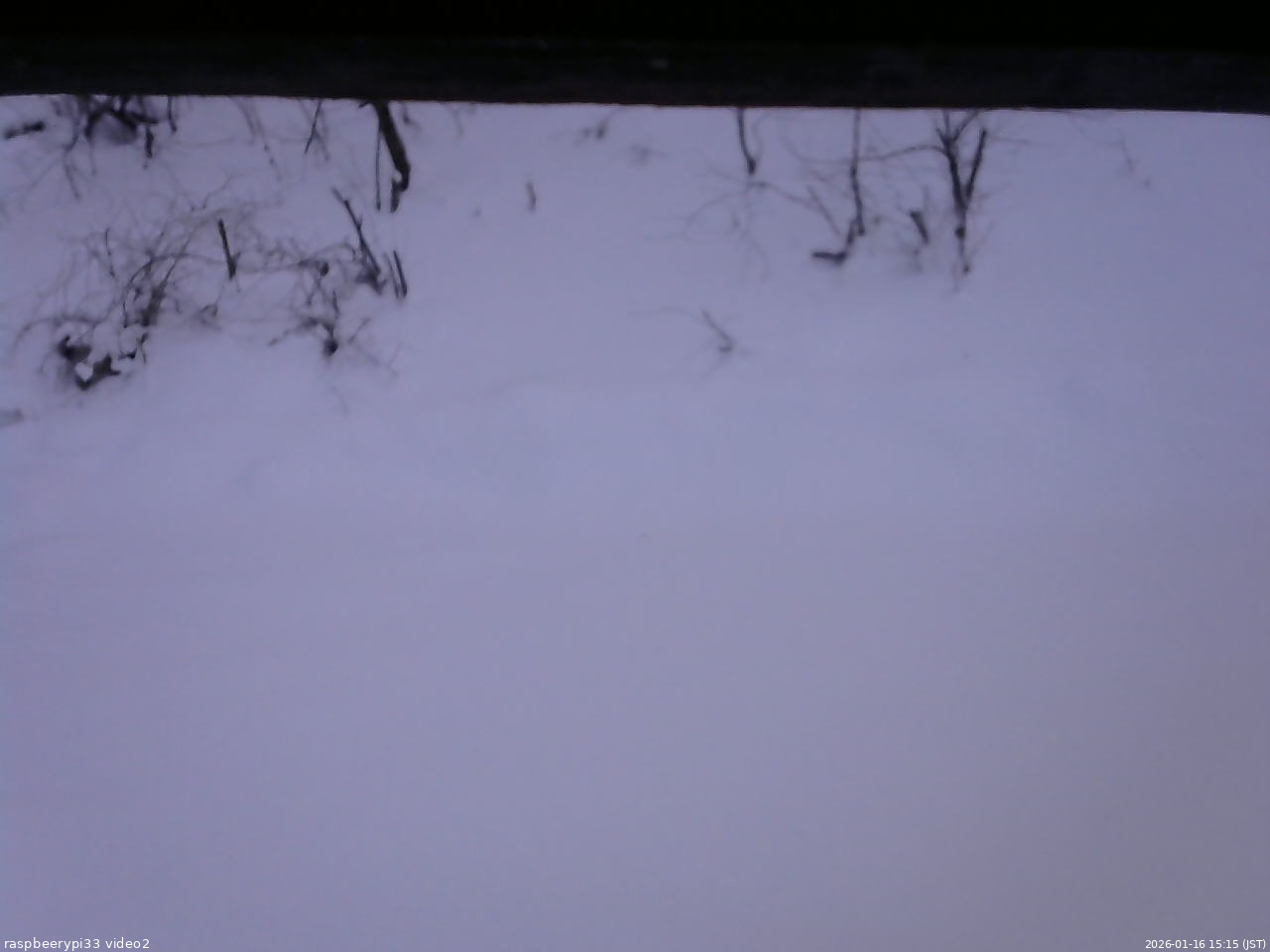 長野県菅平高原 ゆたか山荘 南側 2026/01/16 15:15