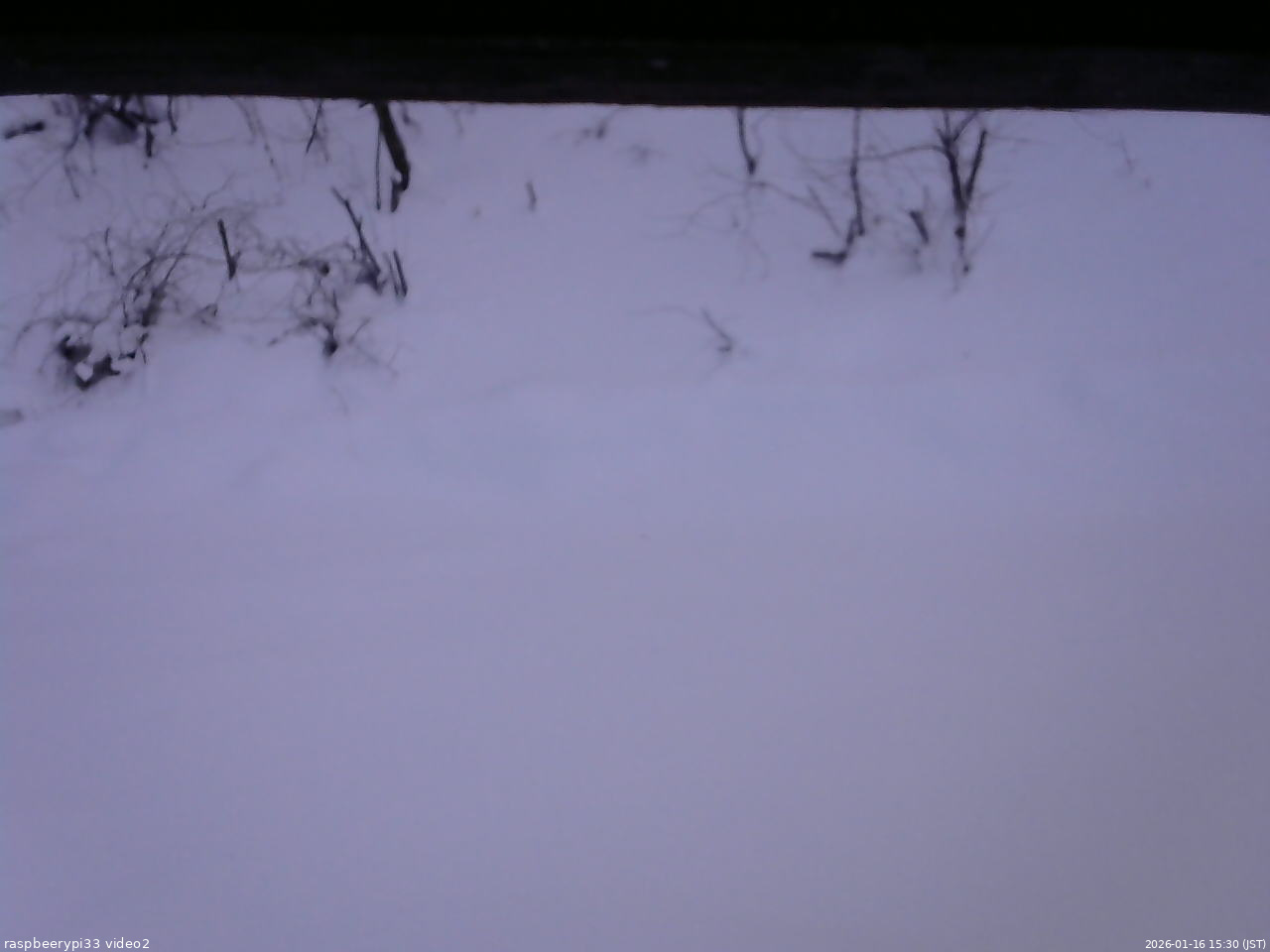 長野県菅平高原 ゆたか山荘 南側 2026/01/16 15:30