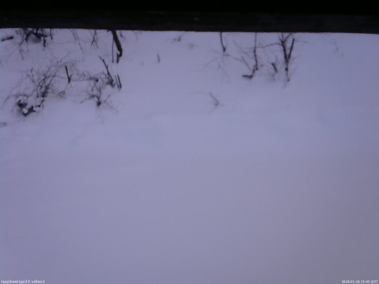 長野県菅平高原 ゆたか山荘 南側 2026/01/16 15:45