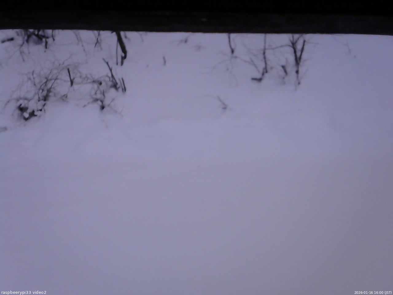 長野県菅平高原 ゆたか山荘 南側 2026/01/16 16:00