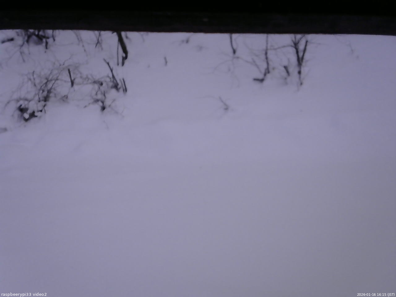 長野県菅平高原 ゆたか山荘 南側 2026/01/16 16:15