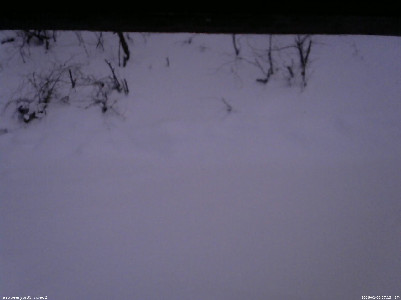 長野県菅平高原 ゆたか山荘 南側 2026/01/16 17:15
