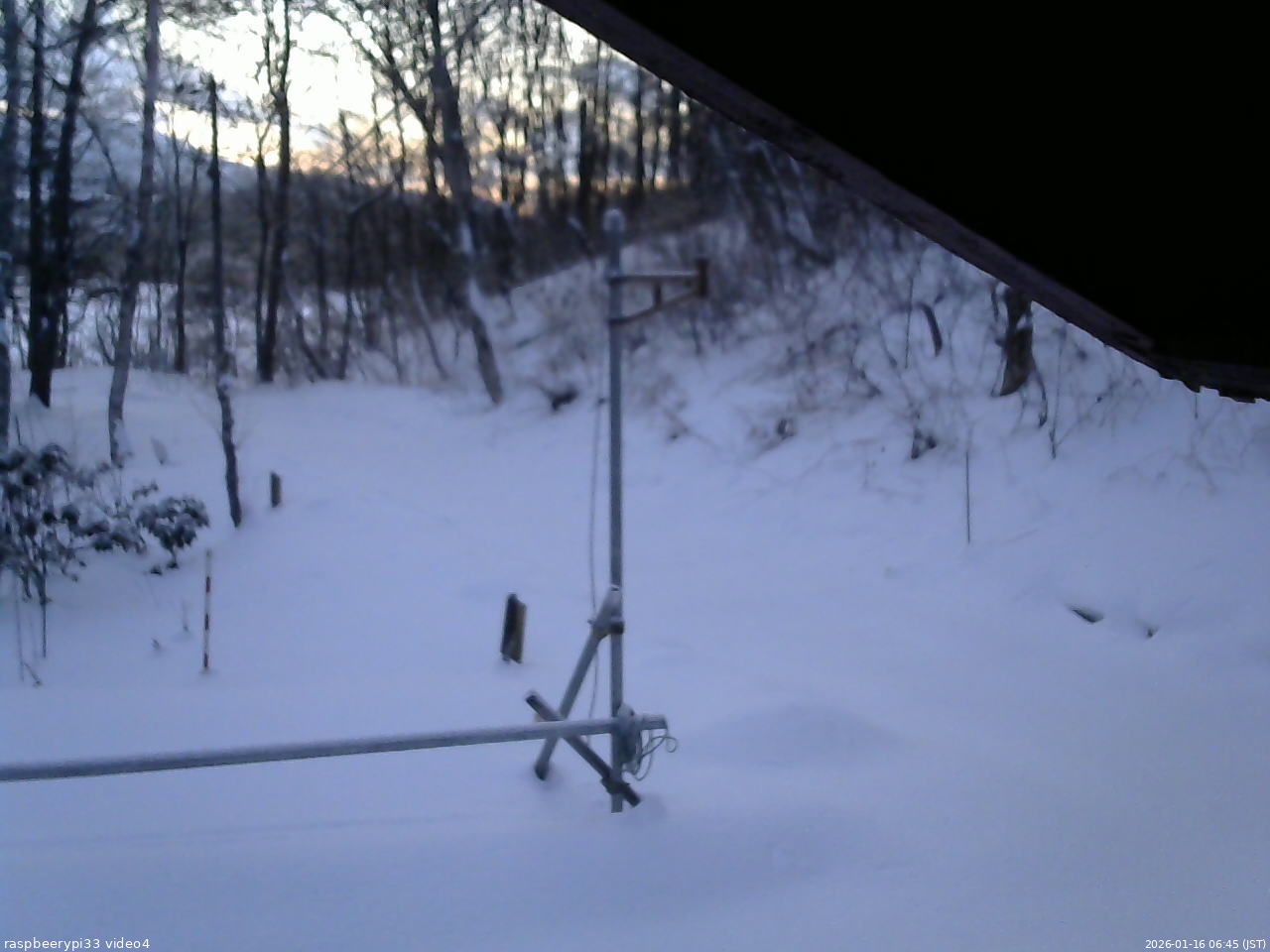 長野県菅平高原 ゆたか山荘 東側(坂下) 2026/01/16 06:45