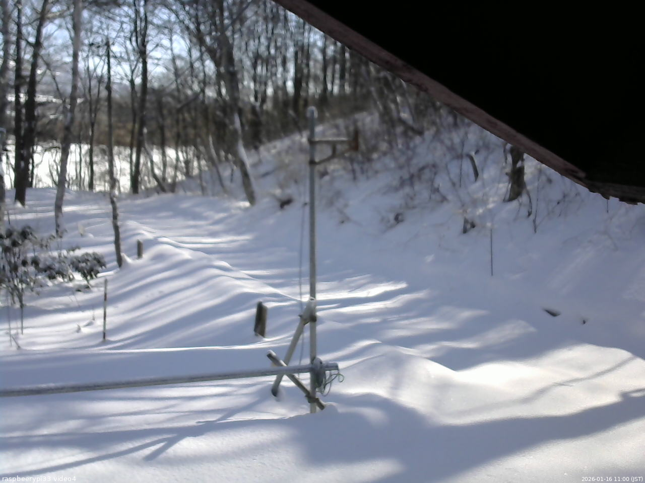 長野県菅平高原 ゆたか山荘 東側(坂下) 2026/01/16 11:00