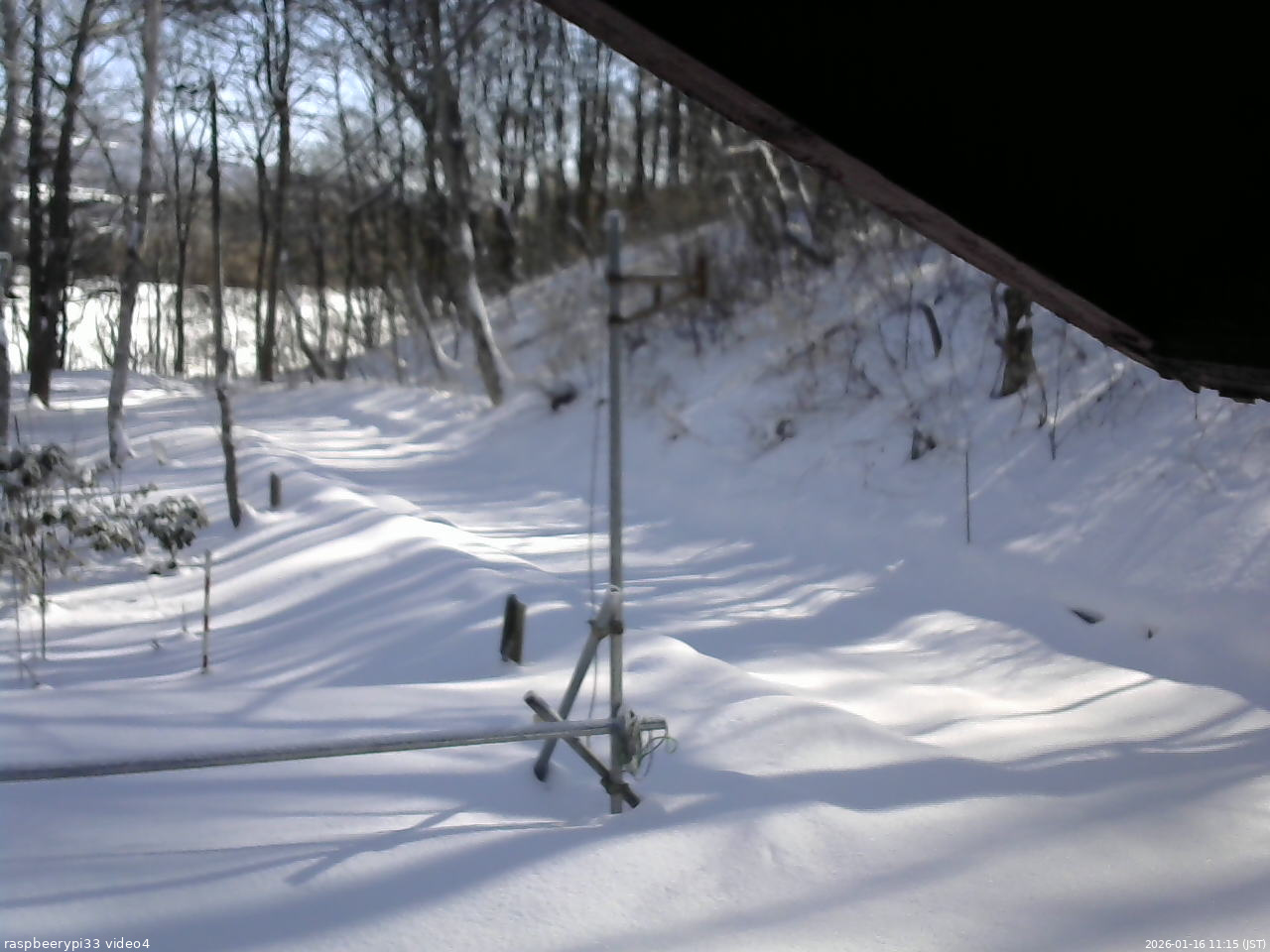 長野県菅平高原 ゆたか山荘 東側(坂下) 2026/01/16 11:15
