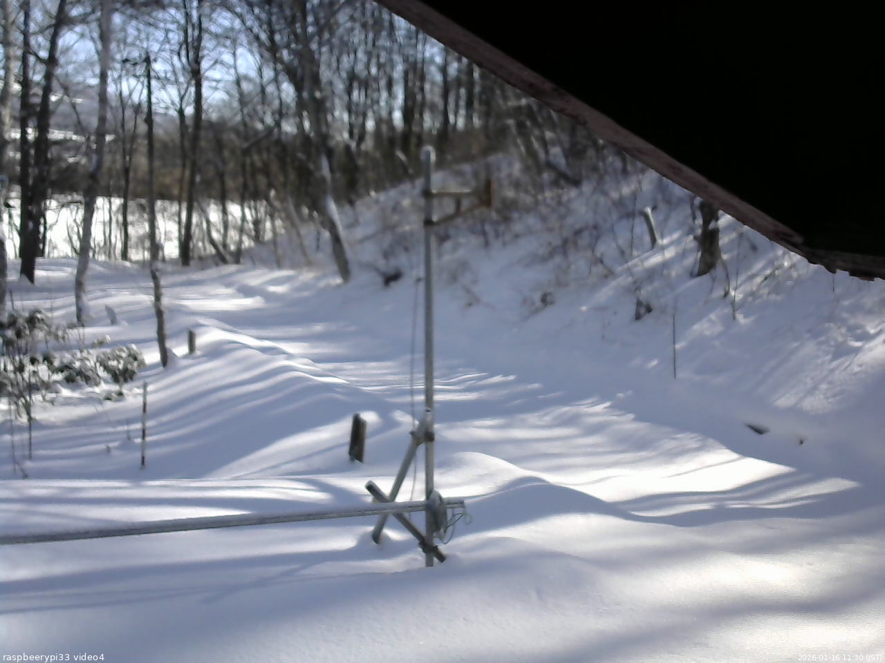 長野県菅平高原 ゆたか山荘 東側(坂下) 2026/01/16 11:30