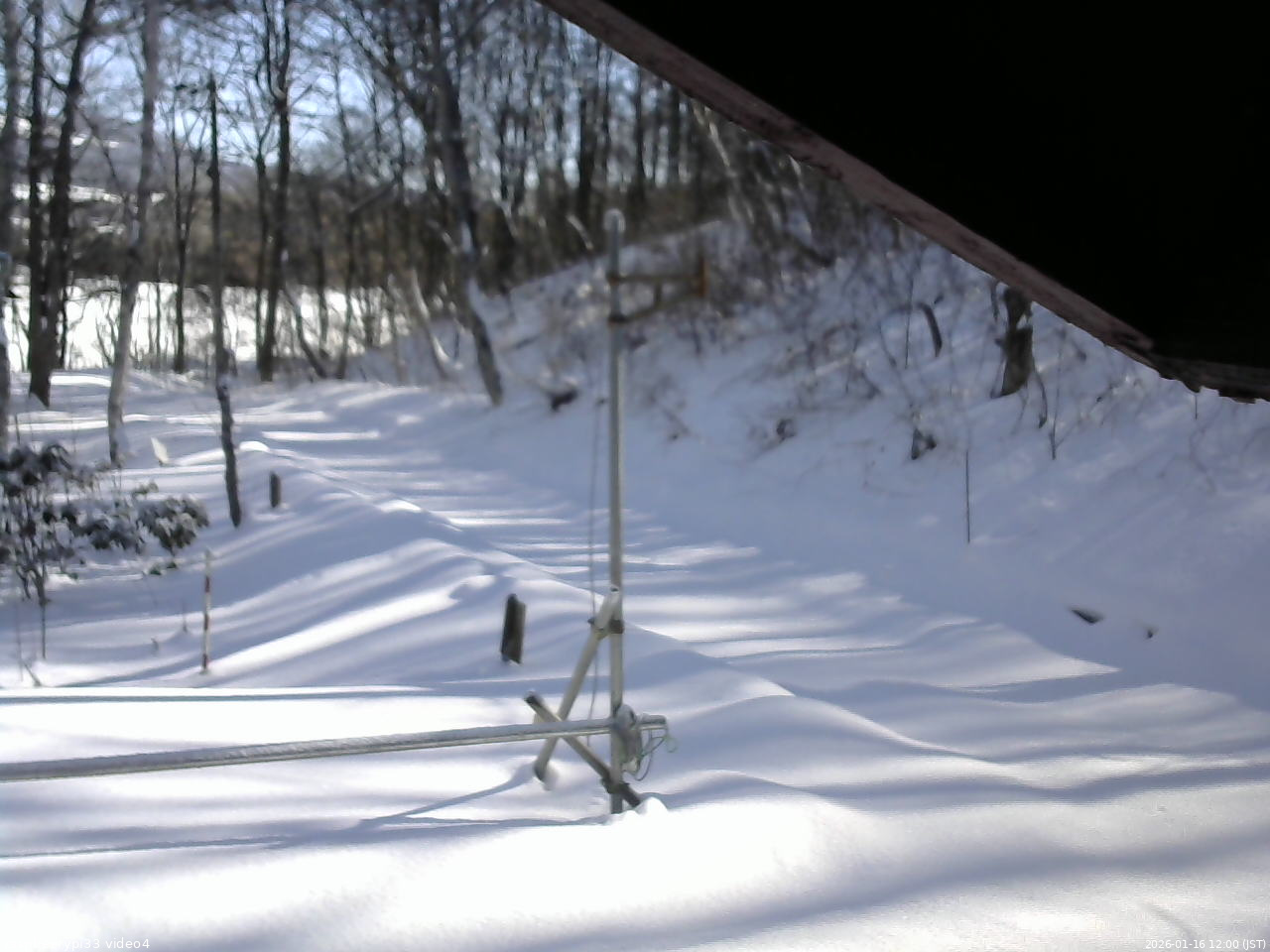 長野県菅平高原 ゆたか山荘 東側(坂下) 2026/01/16 12:00