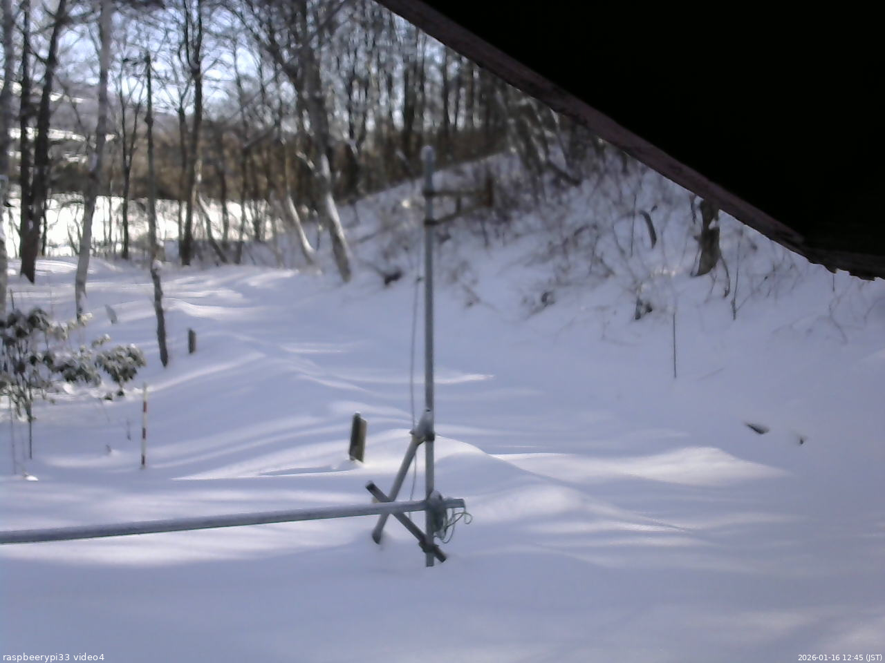 長野県菅平高原 ゆたか山荘 東側(坂下) 2026/01/16 12:45