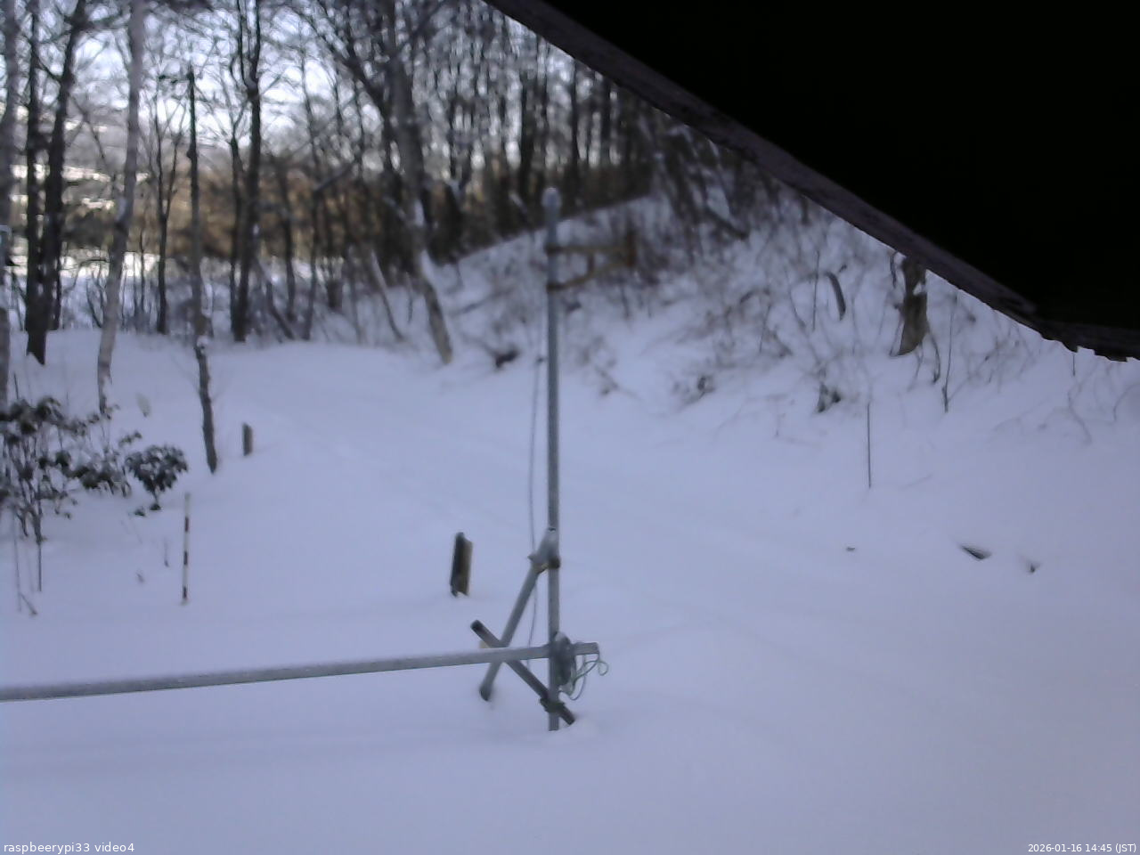 長野県菅平高原 ゆたか山荘 東側(坂下) 2026/01/16 14:45