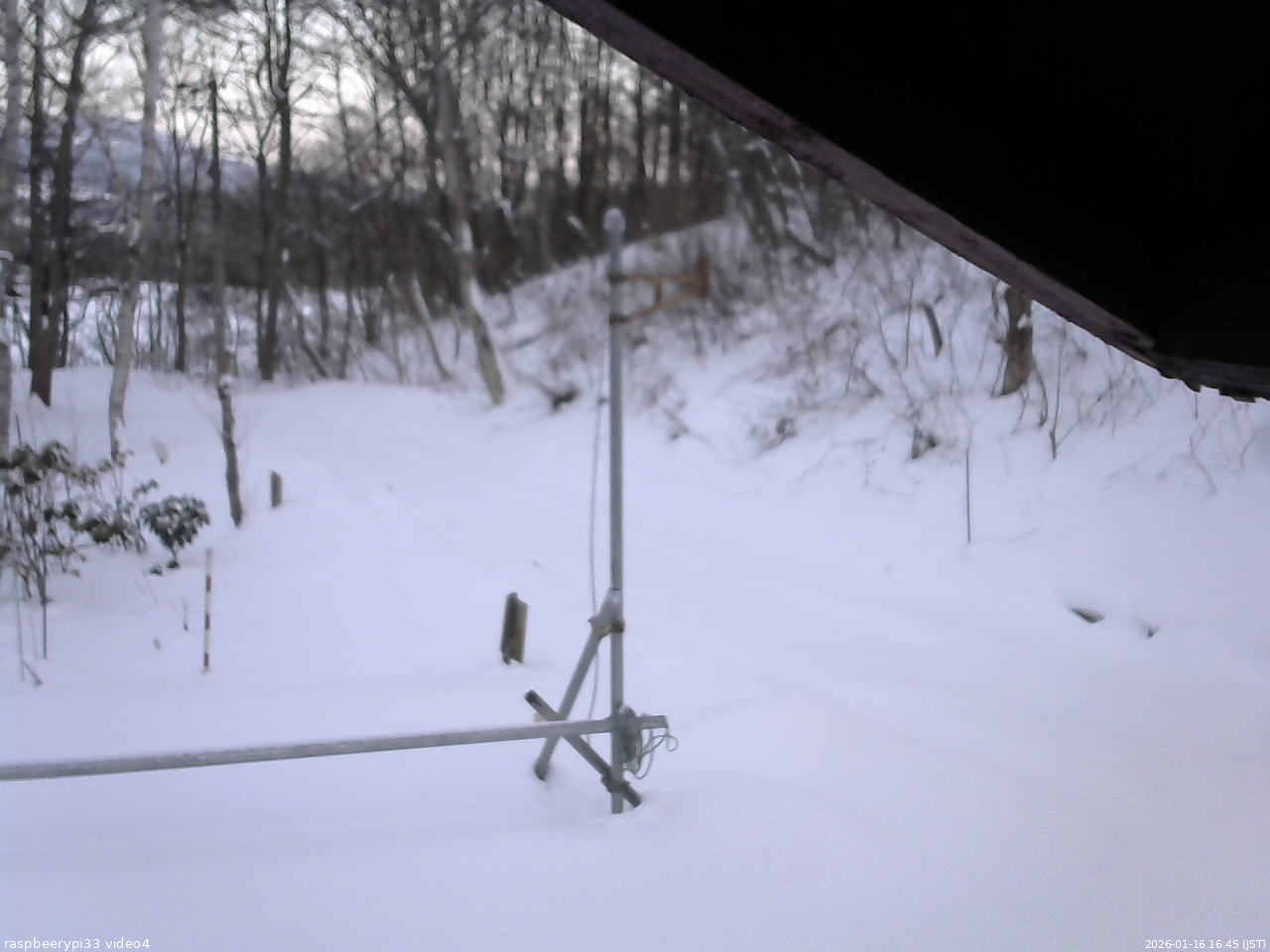 長野県菅平高原 ゆたか山荘 東側(坂下) 2026/01/16 16:45