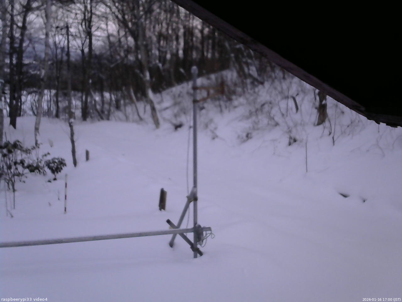 長野県菅平高原 ゆたか山荘 東側(坂下) 2026/01/16 17:00