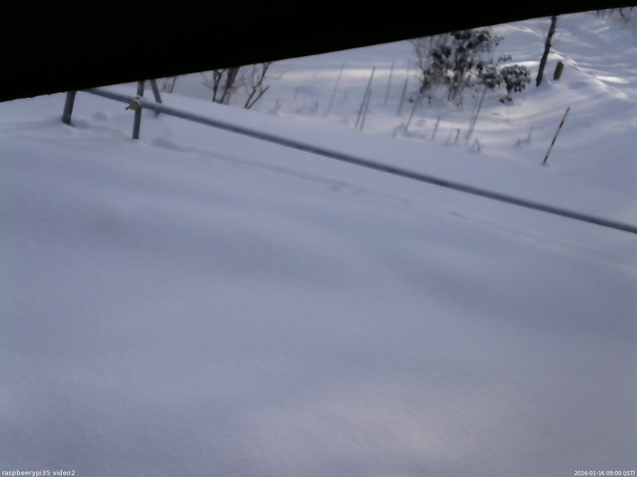 長野県菅平高原 ゆたか山荘 駐車場 2026/01/16 09:00