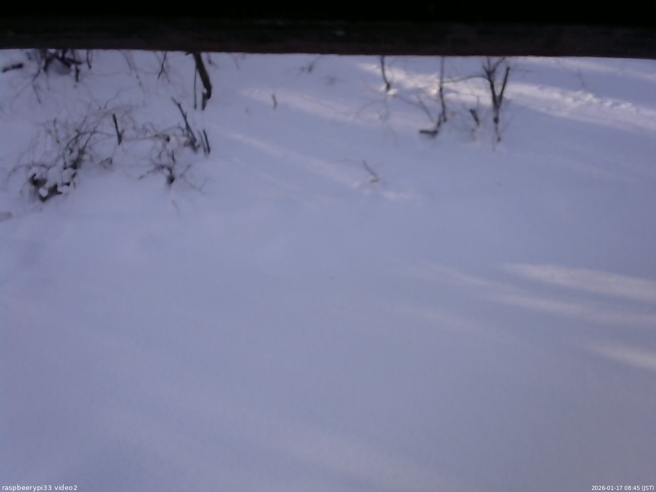 長野県菅平高原 ゆたか山荘 南側 2026/01/17 08:45