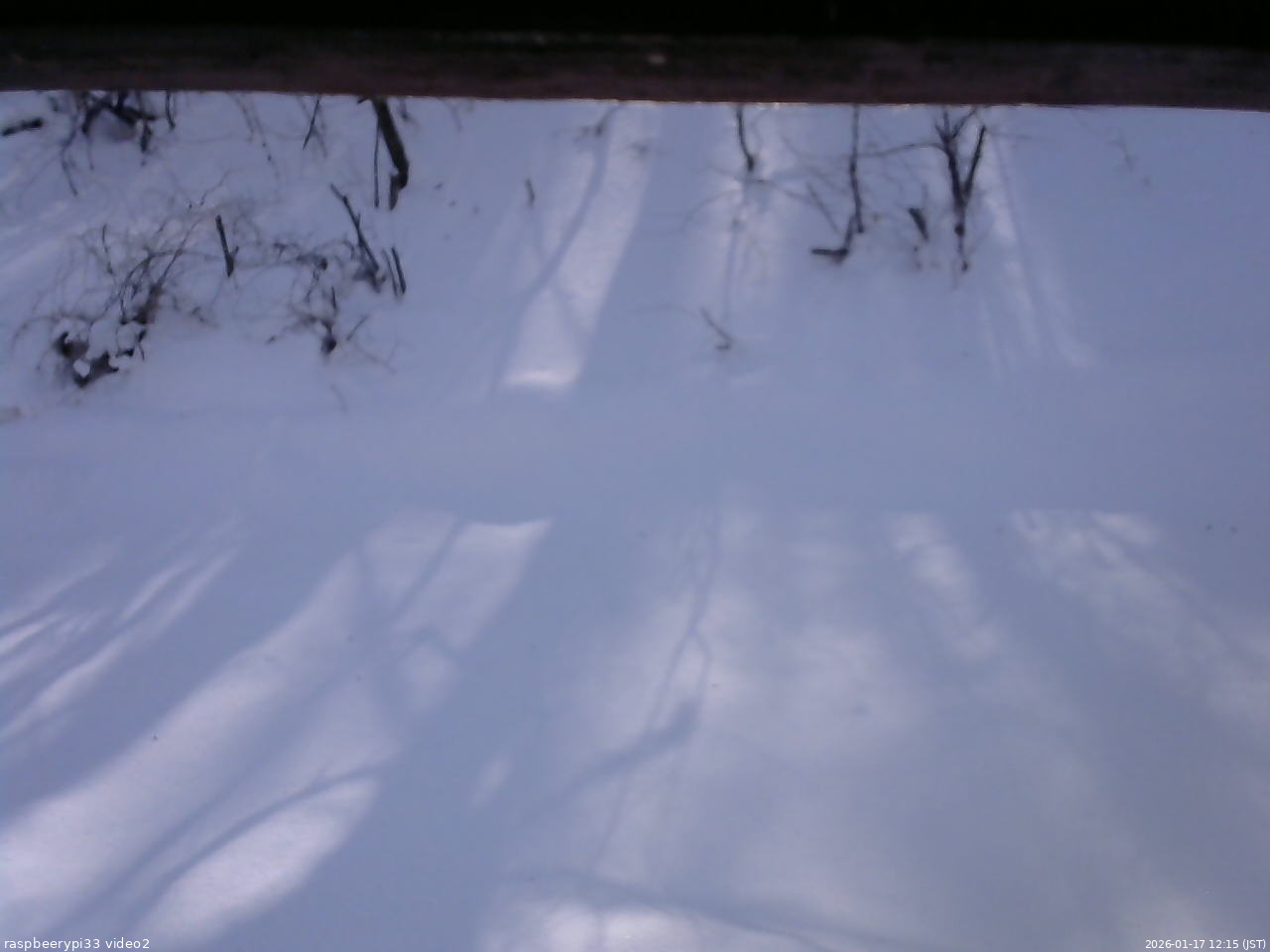 長野県菅平高原 ゆたか山荘 南側 2026/01/17 12:15