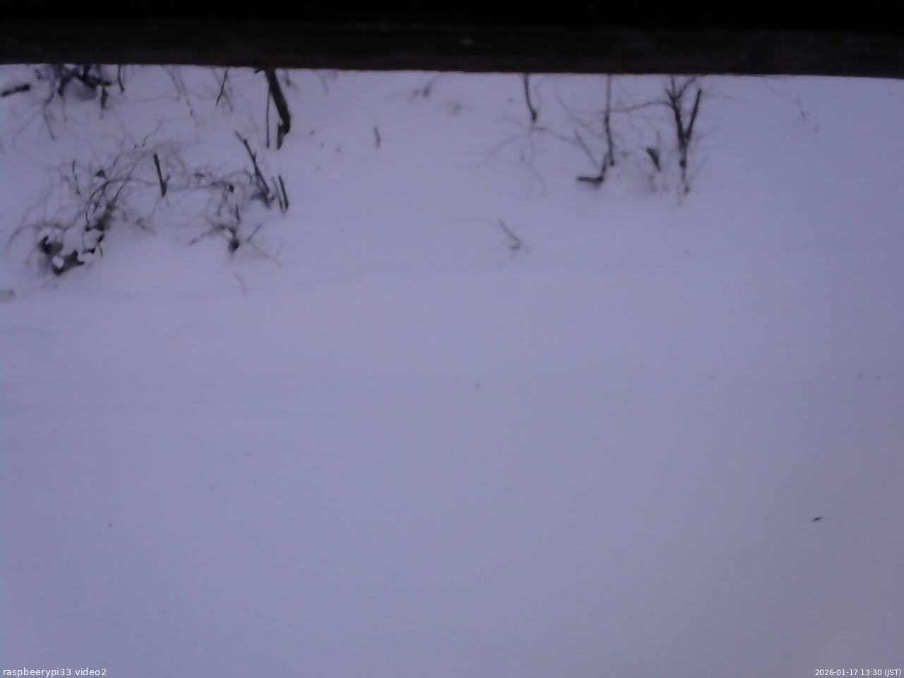 長野県菅平高原 ゆたか山荘 南側 2026/01/17 13:30