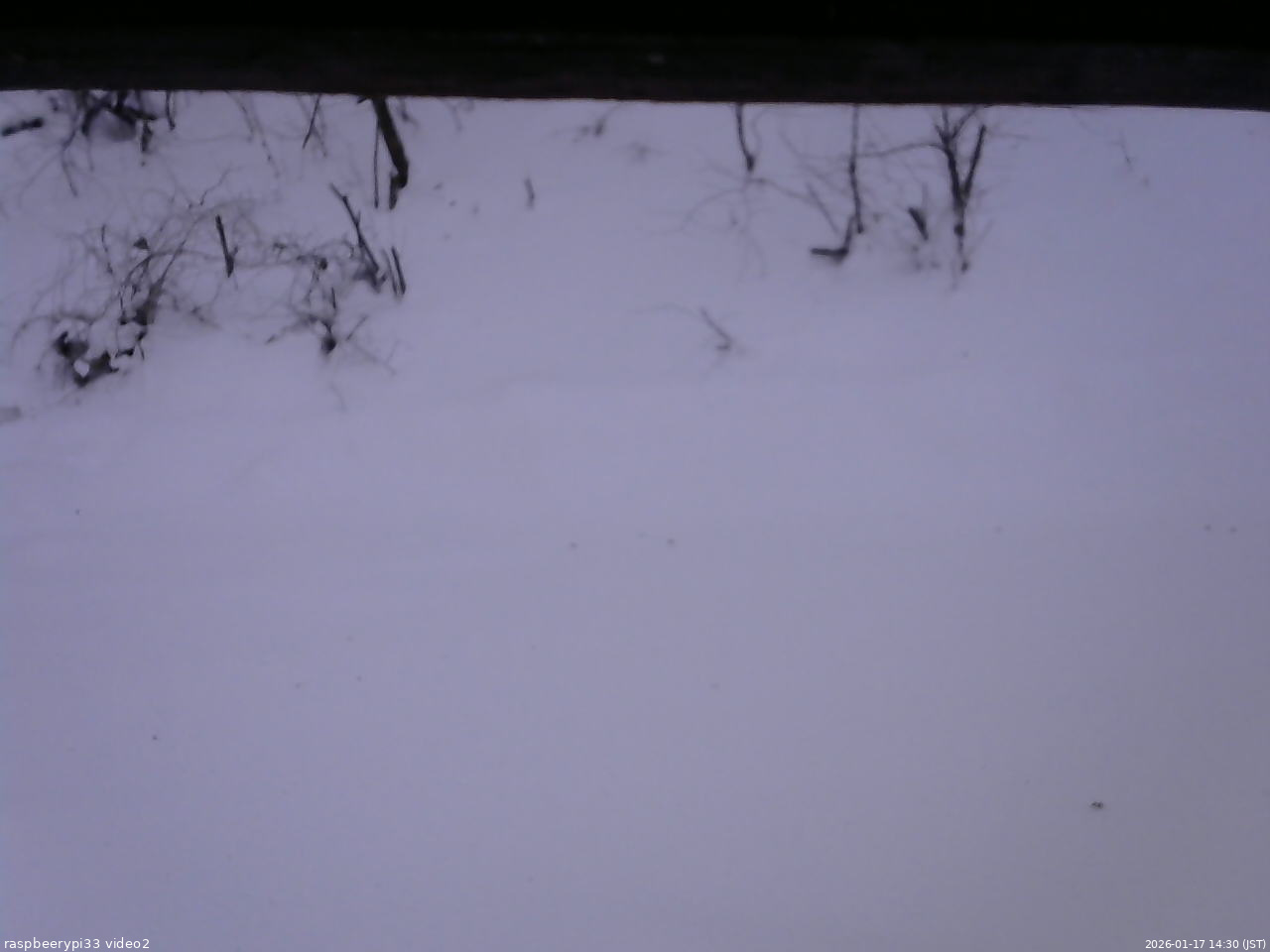 長野県菅平高原 ゆたか山荘 南側 2026/01/17 14:30