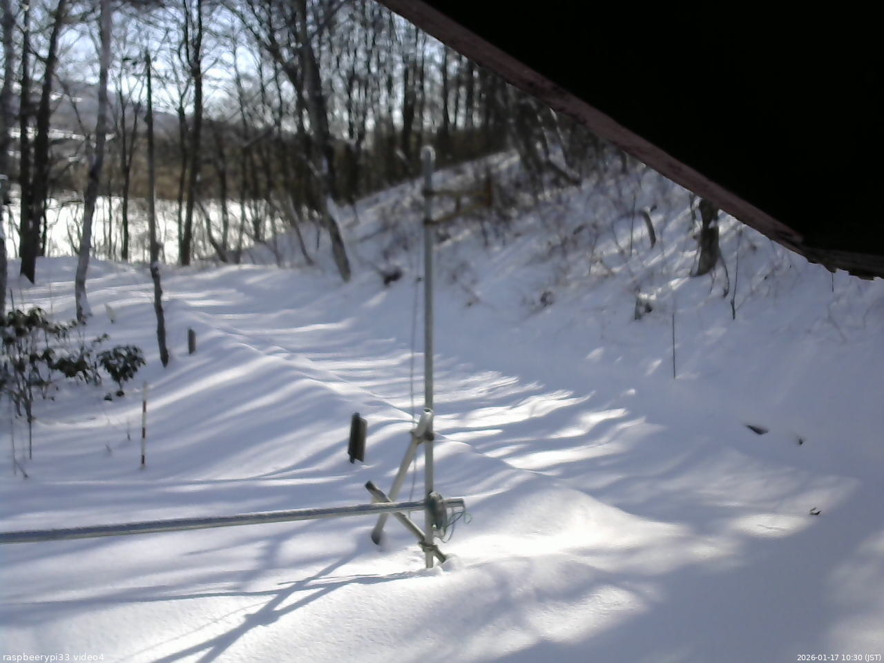 長野県菅平高原 ゆたか山荘 東側(坂下) 2026/01/17 10:30