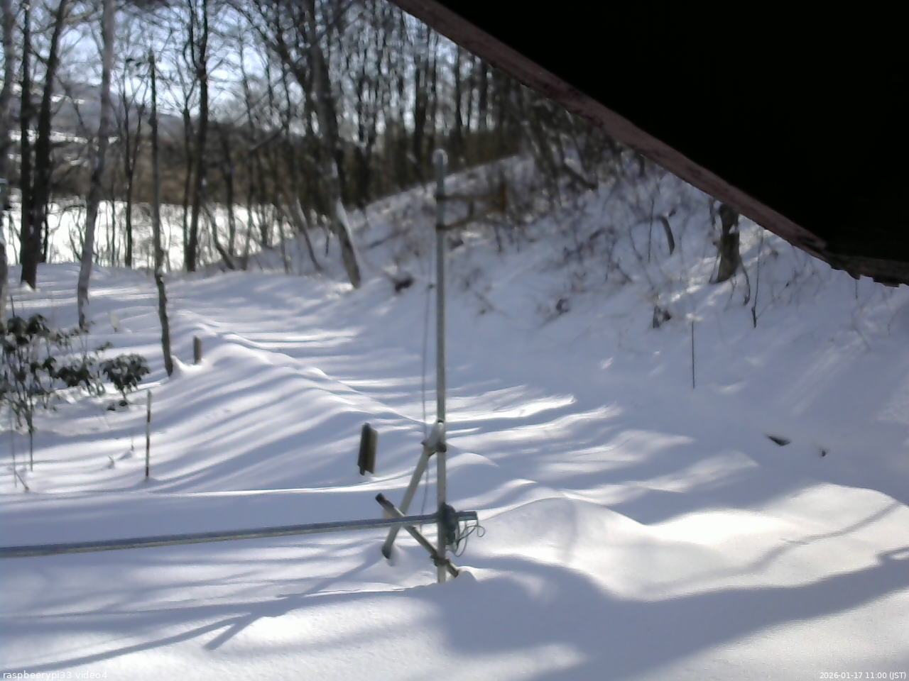 長野県菅平高原 ゆたか山荘 東側(坂下) 2026/01/17 11:00