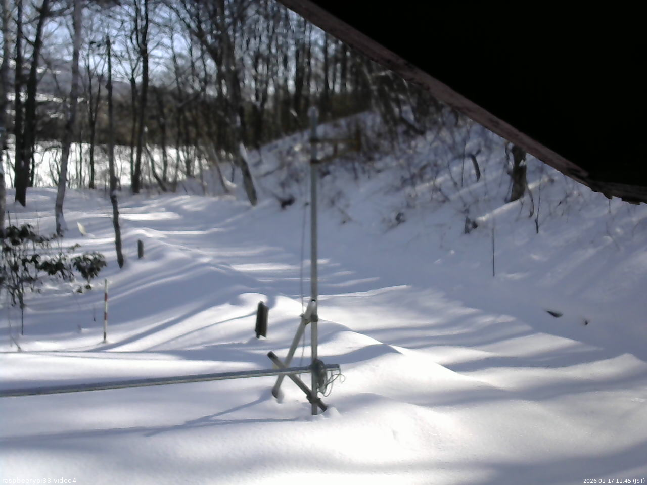 長野県菅平高原 ゆたか山荘 東側(坂下) 2026/01/17 11:45
