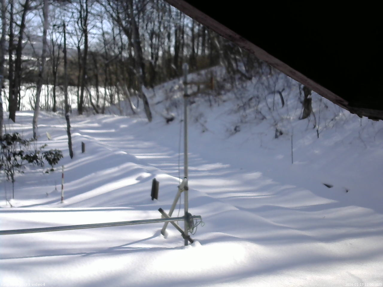 長野県菅平高原 ゆたか山荘 東側(坂下) 2026/01/17 12:00