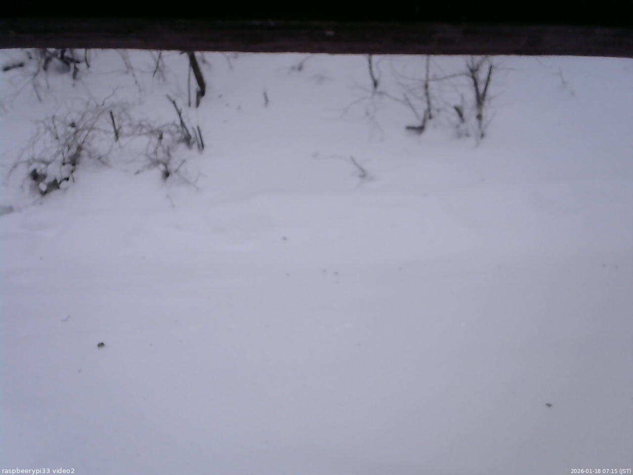 長野県菅平高原 ゆたか山荘 南側 2026/01/18 07:15