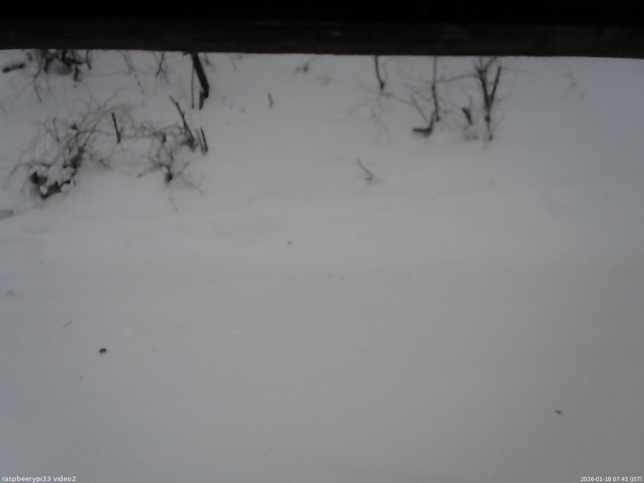 長野県菅平高原 ゆたか山荘 南側 2026/01/18 07:45