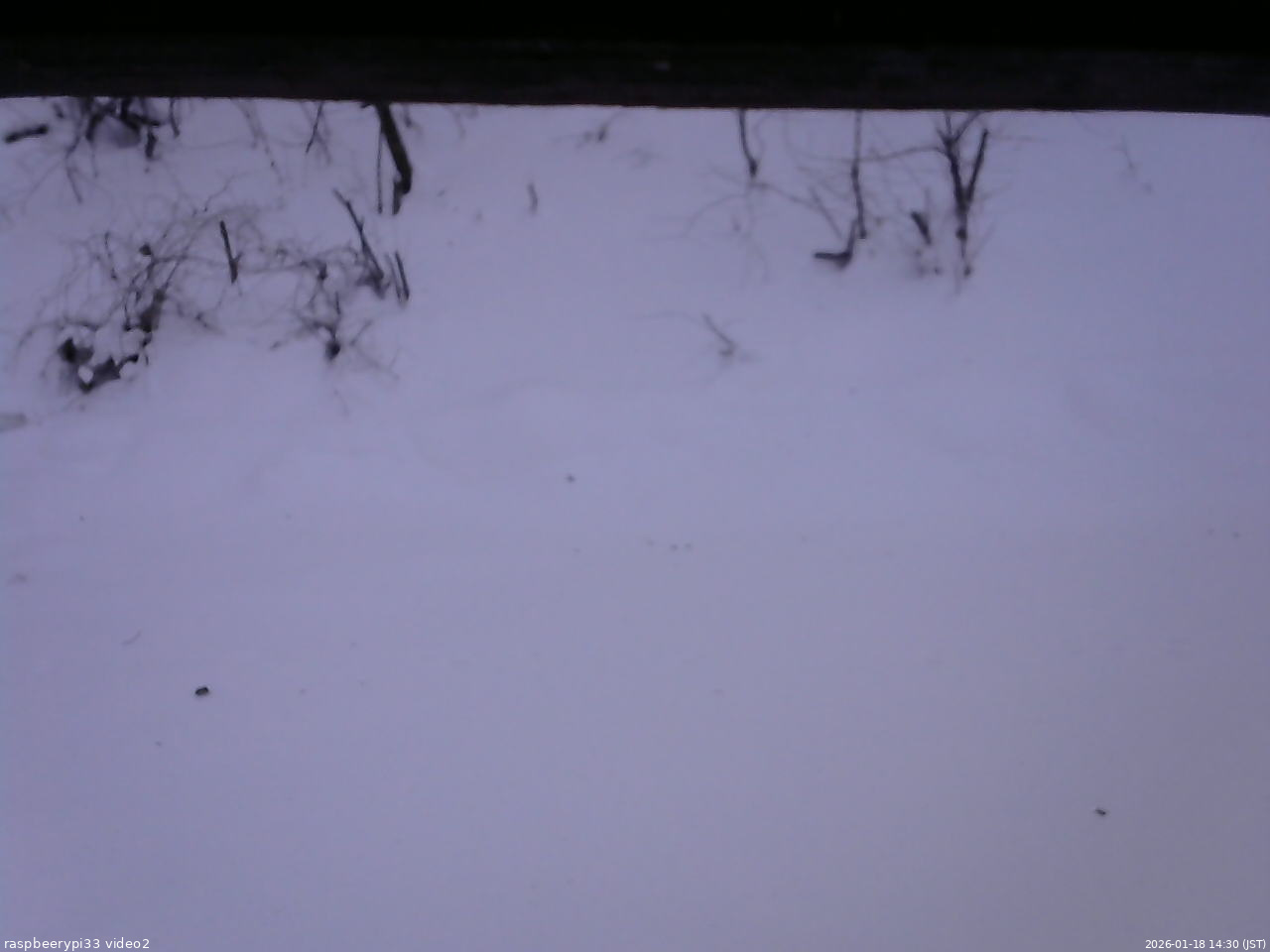 長野県菅平高原 ゆたか山荘 南側 2026/01/18 14:30